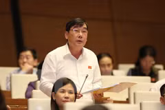 Legislators look into draft revisions to Civil Procedure Code