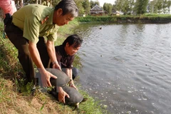 Denmark helps Vietnam promote bio-diversity conservation 