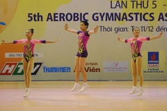 Vietnam lead at gymnastics qualifier 