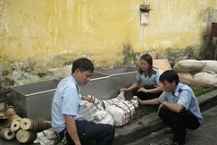 Customs officials seize elephant tusks 