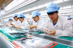 Vietnam rises in business ease world ranking 