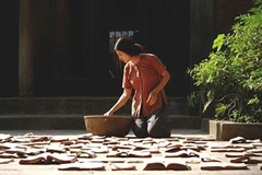Free screenings at Vietnam Film Festival