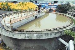 Deputy PM asks for severe penalties towards business polluters