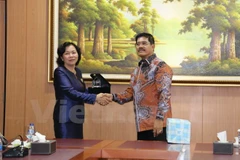 Vietnam seeks closer judicial cooperation with Indonesia