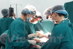 Children in Hoa Binh receive free heart examinations 