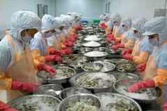 Binh Thuan evolves as investment hotspot in south-central