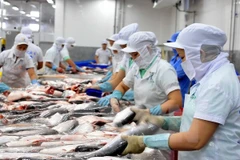 Social responsibility practice to promote fisheries sector’s standing