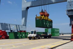 FDI, domestic sector need better balance 