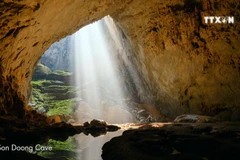Vietnam nominated for six p at 2019 World Travel Awards