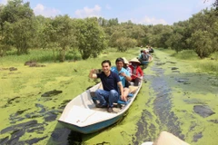 An Giang province welcomes 8.5 million tourists 