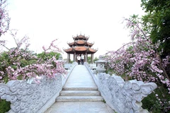Hung Yen reports tourism revenue of over 8.6 million USD