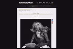 Vietnamese photographers win Int’l Photo Award
