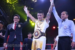 Vietnam's boxing sport reaches new height
