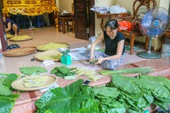 Vong village bustles in young green rice season