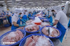 Vietnam to meet EC’s anti-IUU fishing recommendations