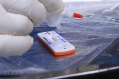 Vietnam must not relax control over Omicron, vaccinations must speed up: minister