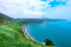 Son Tra peninsula – A must-see in central Da Nang city