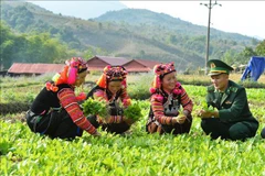 Poverty alleviation undertaken in southern ethnic minority areas
