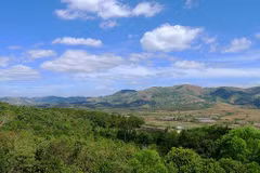 Chu Mom Ray National Park – “Paradise” for rare animal species