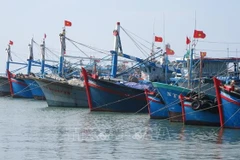 Tasks assigned to put an end to IUU fishing by year’s end