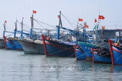 Tasks assigned to put an end to IUU fishing by year’s end