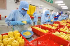 Vietnam eyes global top 10 in agricultural processing