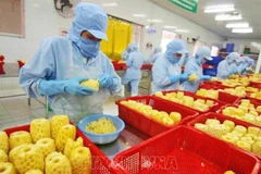 Vietnam eyes global top 10 in agricultural processing
