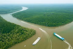 HCM City's Can Gio district to become high-quality ecotourism destination