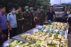 The customs sector uncovered, seized and handled 14,100 customs law violations involving goods worth about 4.2 trillion VND (183.5 million USD) in the first 11 months of this year (Photo: VietnamPlus)