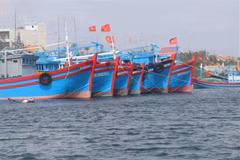 Efforts redoubled on EC recommendations to end illegal fishing