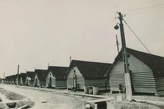 Camp Davis – political struggle amidst ‘den’ of enemy