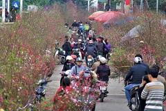 Tet markets – where the soul of countryside is found