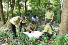📝 OP-ED: People, authorities join hands to fight wildlife trafficking