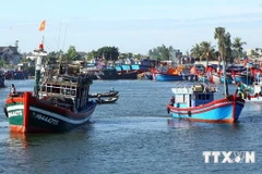 Infrastructure needs upgrading to develop modern fisheries sector