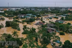 Int’l climatologists study severe storms, floods in Vietnam