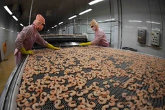 Shrimp producers, exporters earn big from deep processing