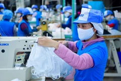 Vietnamese goods gain larger share on domestic market