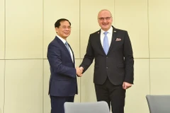 Vietnamese Minister of Foreign Affairs Bui Thanh Son (left) and Croatian Minister of Foreign and European Affairs Gordan Grlić-Radman at a meeting on May 2. (Photo: VNA)