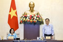 NA Chairman Tran Thanh Man speaks at the meeting (Photo: VNA)