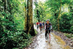 Tourists cycle in Xuan Son National Park in the northern province of Phu Tho. (Photo; baophutho.vn)