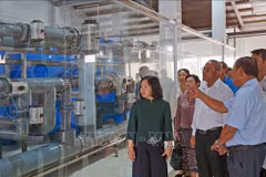 The Lao delegation visits Viet-Uc Ca Mau One-Member Co. Ltd (Photo: VNA)