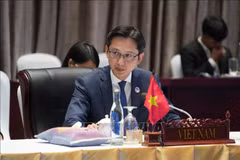 Vietnamese Deputy Minister of Foreign Affairs Do Hung Viet (Photo: VNA)
