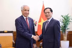 Minister of Foreign Affairs Bui Thanh Son (R) and Qatari Minister of State for Foreign Affairs Soltan Bin Saad Al-Muraikhi (Photo: VNA)