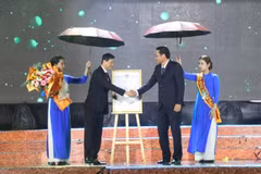 Tra Vinh hosts waxed coconut festival