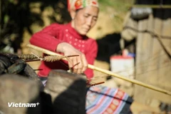 Joint efforts needed to promote sustainable development of heritage