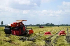 Hai Duong promoting model of organic rice and sand worm