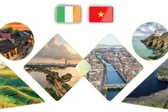 Vietnam-Ireland cooperative friendship