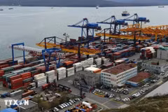 Russia’s Far East potential destination for Vietnamese firms: official