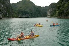 Two Vietnamese representatives in world's most beloved boat experiences 