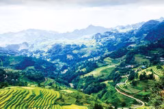 Vietnam most affordable country for expats in 2024